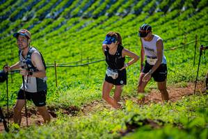 BIB: 209, 3348
                            <button type="button" onclick="openModal(19162588)" class="btn btn-primary btn-sm float-right btn-popup" data-toggle="modal" data-target=".modal-high-quality">
                        <i class="fas fa-shopping-cart"></i> Add to Cart
                    </button>
                                            <button type="button" onclick="isThisMe(19162588, true)" class="btn btn-success btn-sm float-right btn-popup btn-isme hidden" data-toggle="tooltip" data-placement="bottom" title="นี่คือรูปของคุณใช่ไหม คลิกที่นี่เพื่อเอาเข้าอัลบั้ม">
                        <i class="fas fa-plus"></i> Add to album
                    </button>
                    <button type="button" onclick="isThisMe(19162588, false)" class="btn btn-warning btn-sm float-right btn-popup btn-isnotme hidden">
                        <i class="fas fa-ban"></i> Remove from album
                    </button>